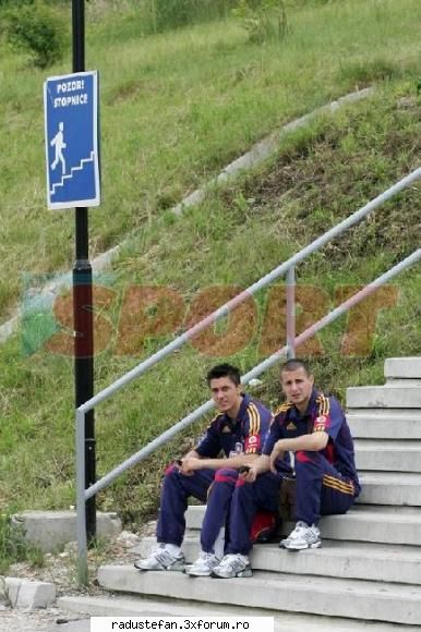 :d  :zzz: ciprian marica