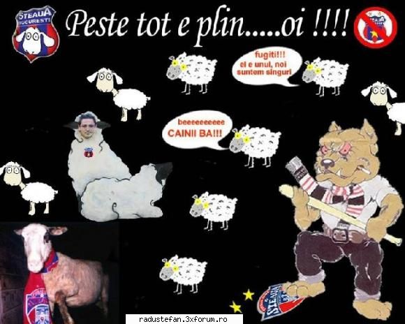 Poze funny - ce tari sunt ...am si eu una:D - Cafenea