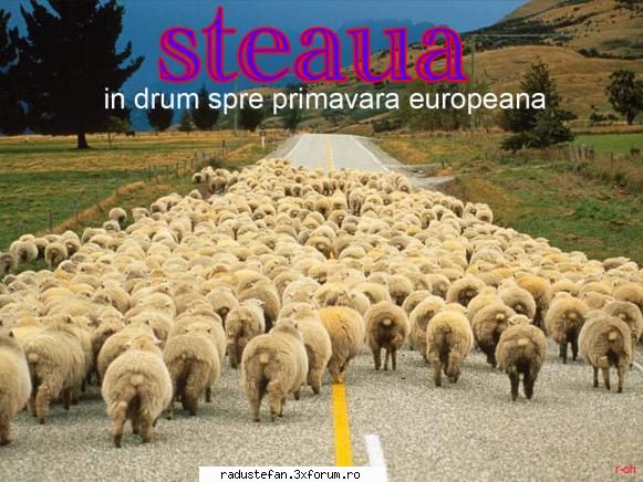 Poze funny - SteOAIA spre primavara europeana - Cafenea