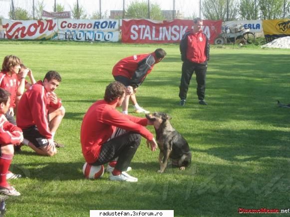 bogdan lobont saftica